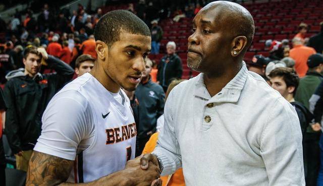 在战术安排 在战术安排